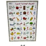 אמצעי המחשה גוף האדם 1/20