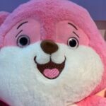 PINKE TREND TOYS