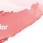 מוצר איפור Concelar Lip Care